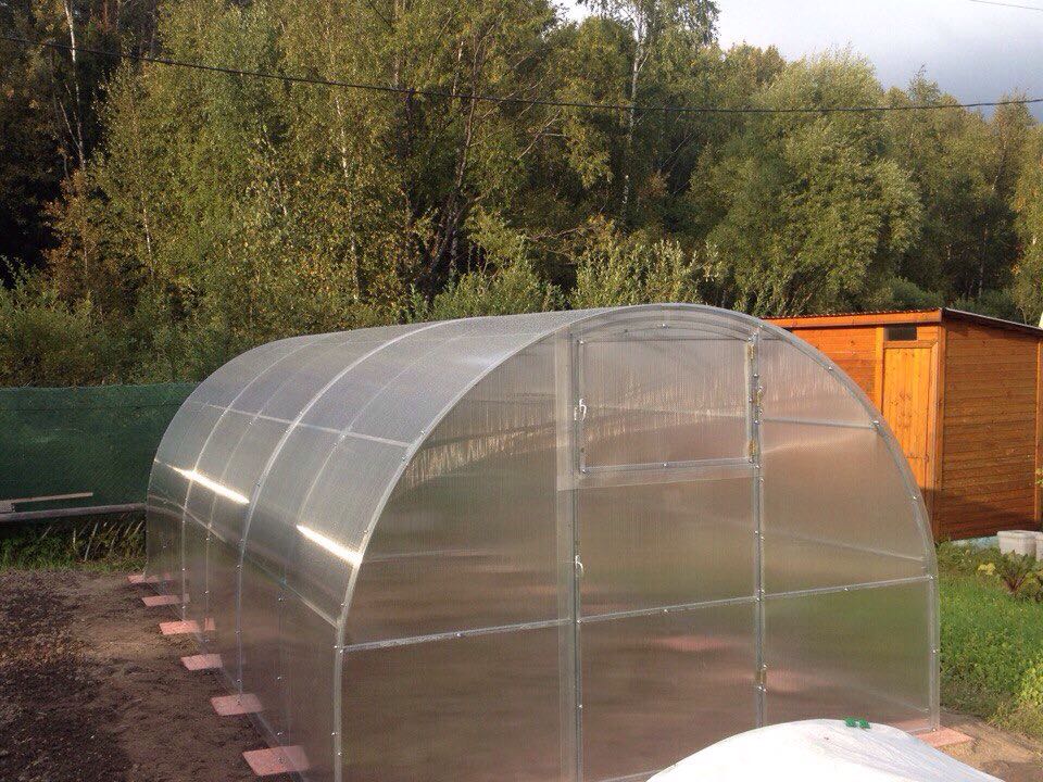 Счастливые обладатели теплиц Счастливые обладатели теплиц