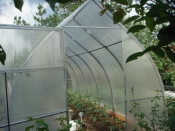 Счастливые обладатели теплиц Счастливые обладатели теплиц