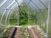 Счастливые обладатели теплиц Счастливые обладатели теплиц