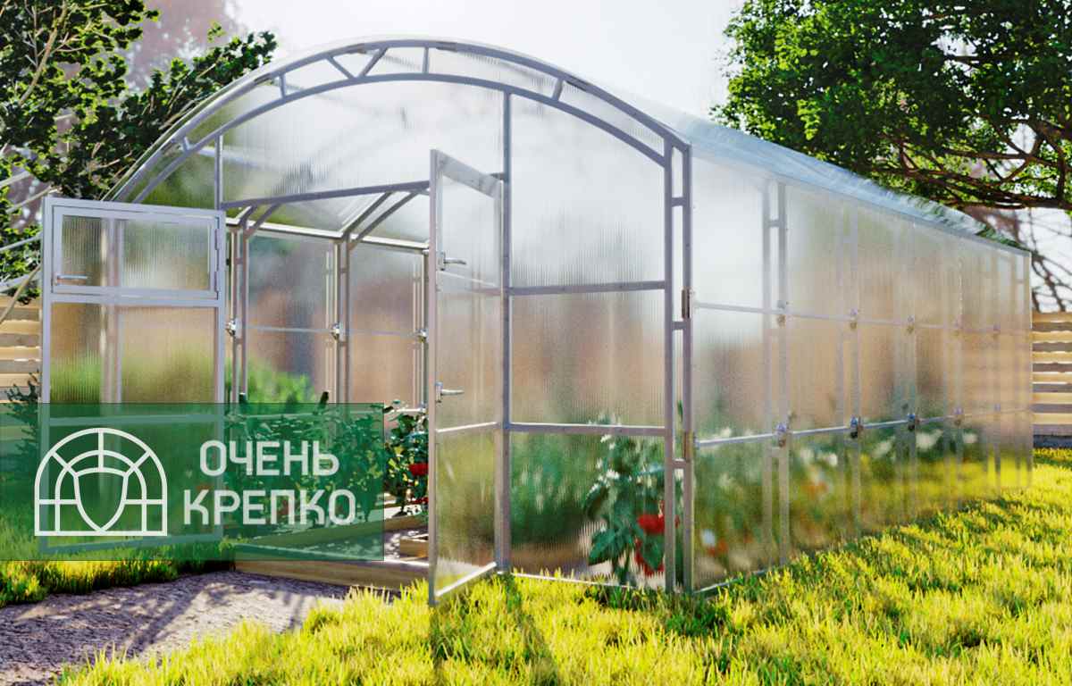Промышленные теплицы из поликарбоната под ключ – купить от производителя вМоскве